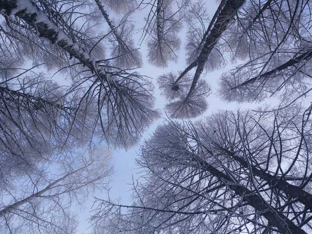 Photograph by Олеся