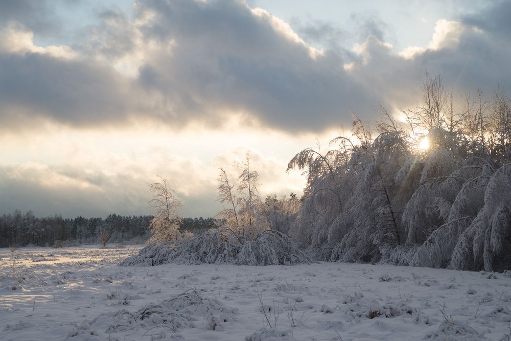 Photograph by Ольга Лобачёва