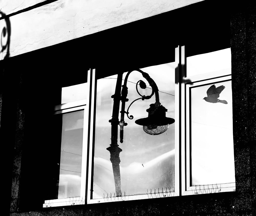 Photograph by Наталья Усачева