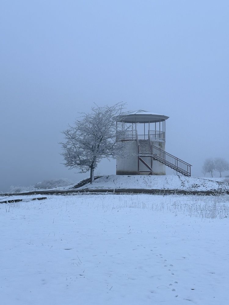 Photograph by Елена Катунина