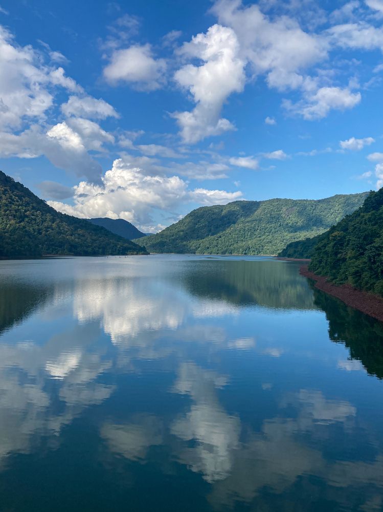 "Tranquil Reflections: Nature's Mirror"