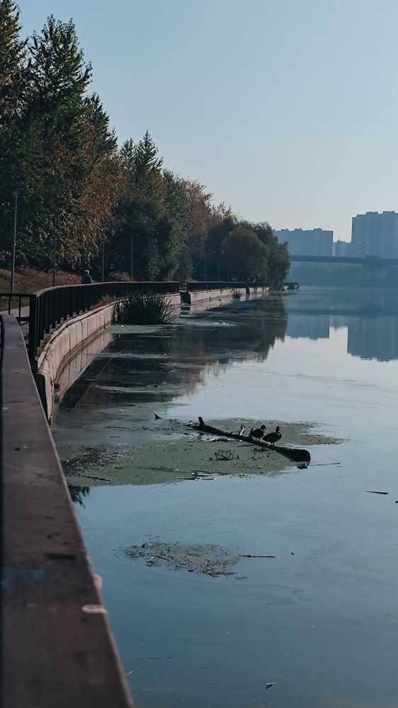 Photograph by Анна Форофонтова