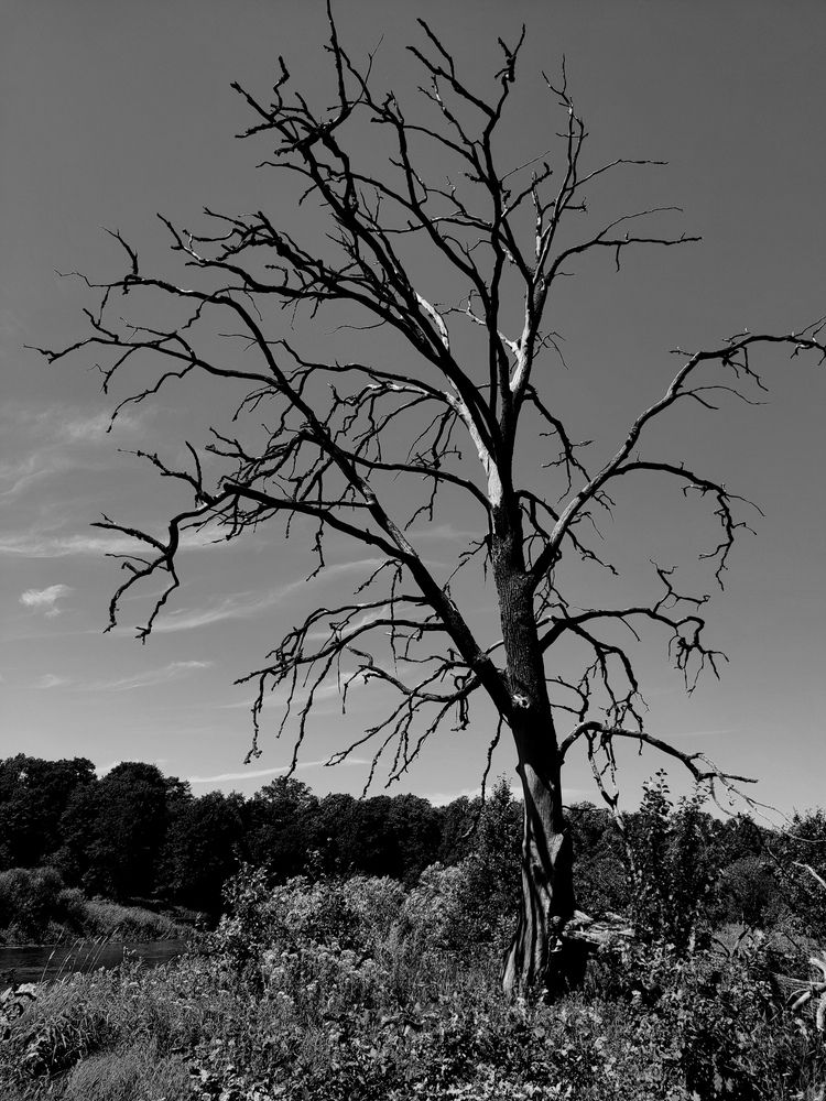 Photograph by Дмитрий Фетисов