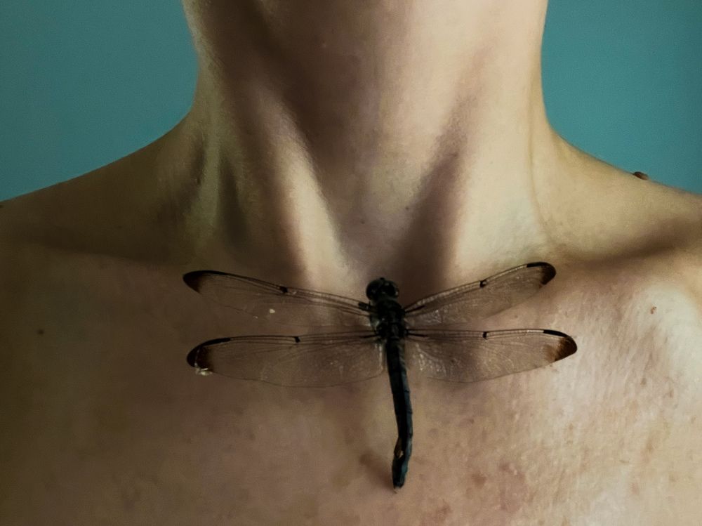 Фотография автора Veera Holdai