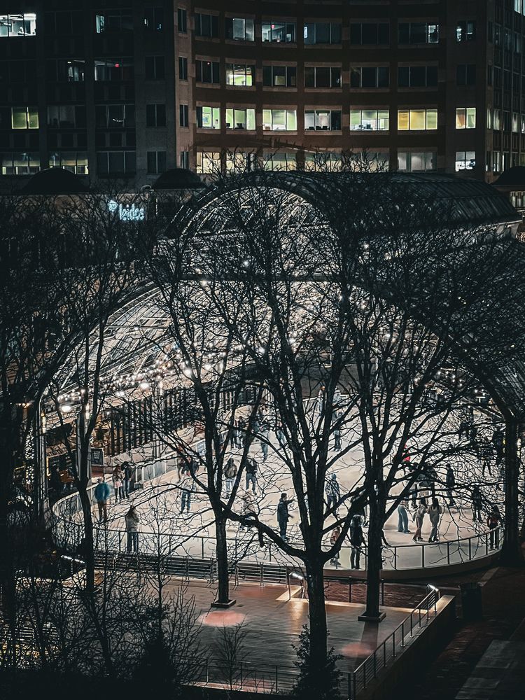 Фотография автора Veera Holdai