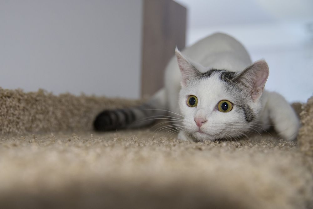 Photograph by Александр Парфенов