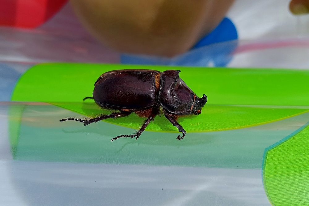 Photograph by  Валентина