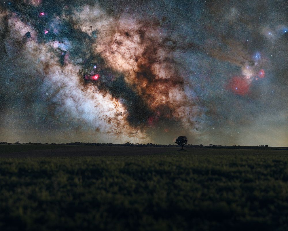 Photograph by Horacio