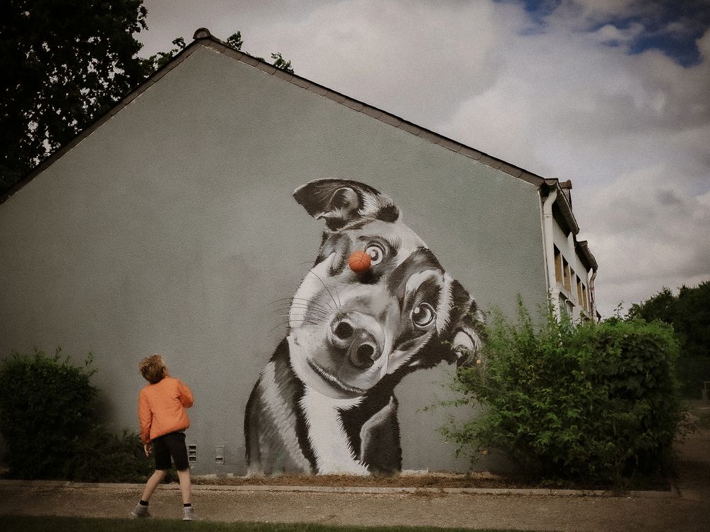 Photograph by gilles Petit-Gats