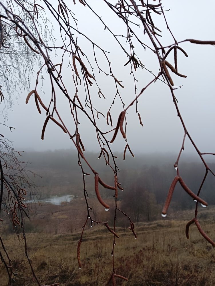 Photograph by Elena Mozhaeva