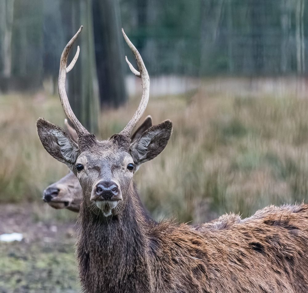 Photograph by Victor Shaposhnikov