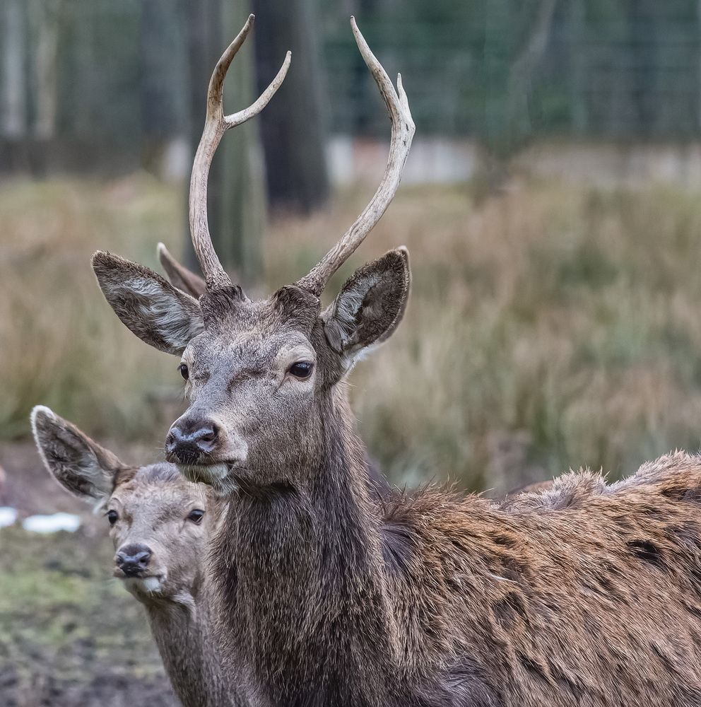 Photograph by Victor Shaposhnikov