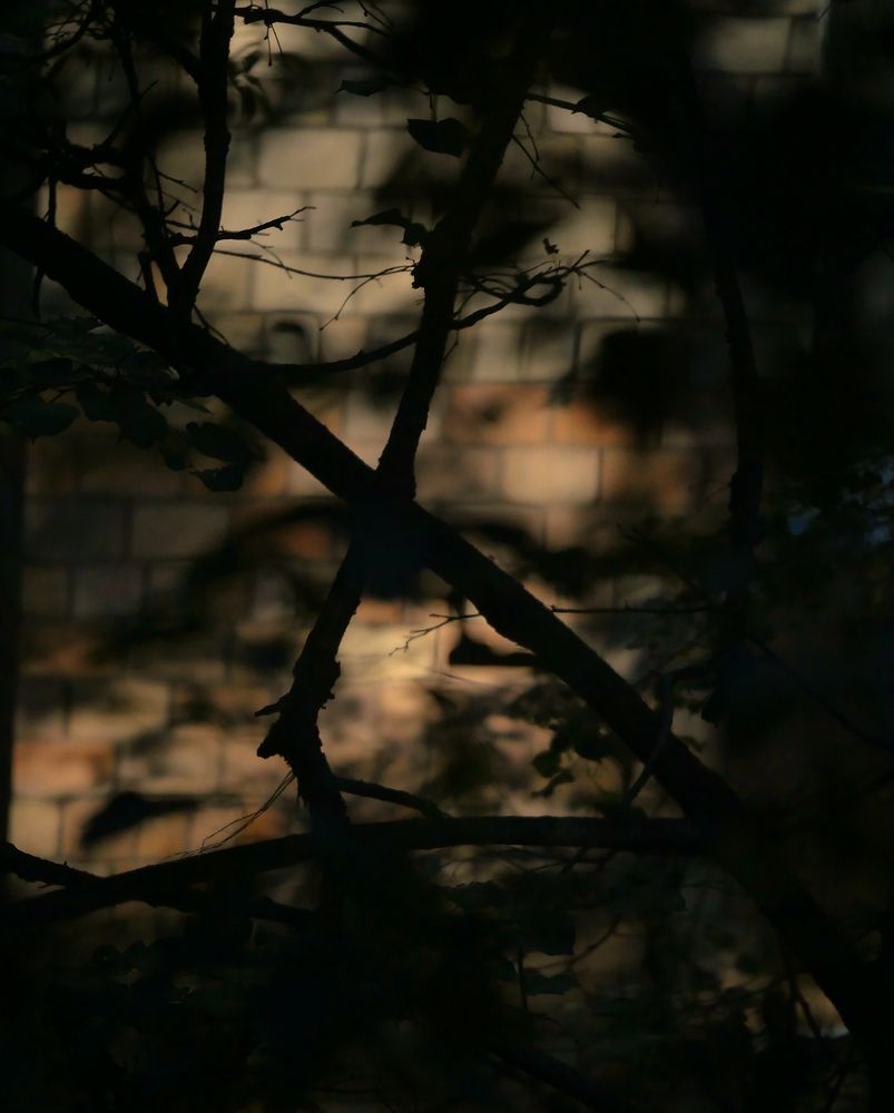 Photograph by ИуИлЪ T @EyEL_xxx