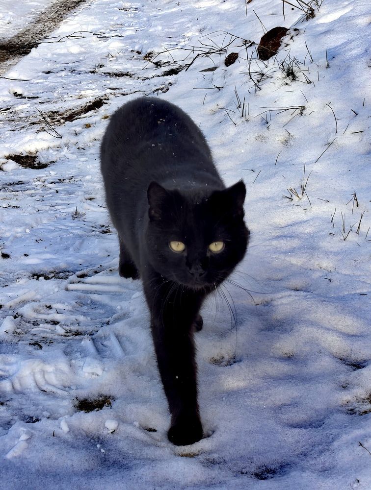 Photograph by Екатерина Борисовна Кузьмина