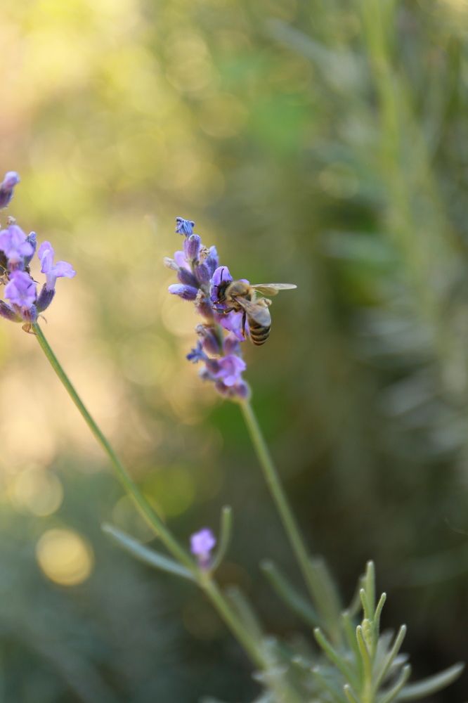 Photograph by Елена Катунина