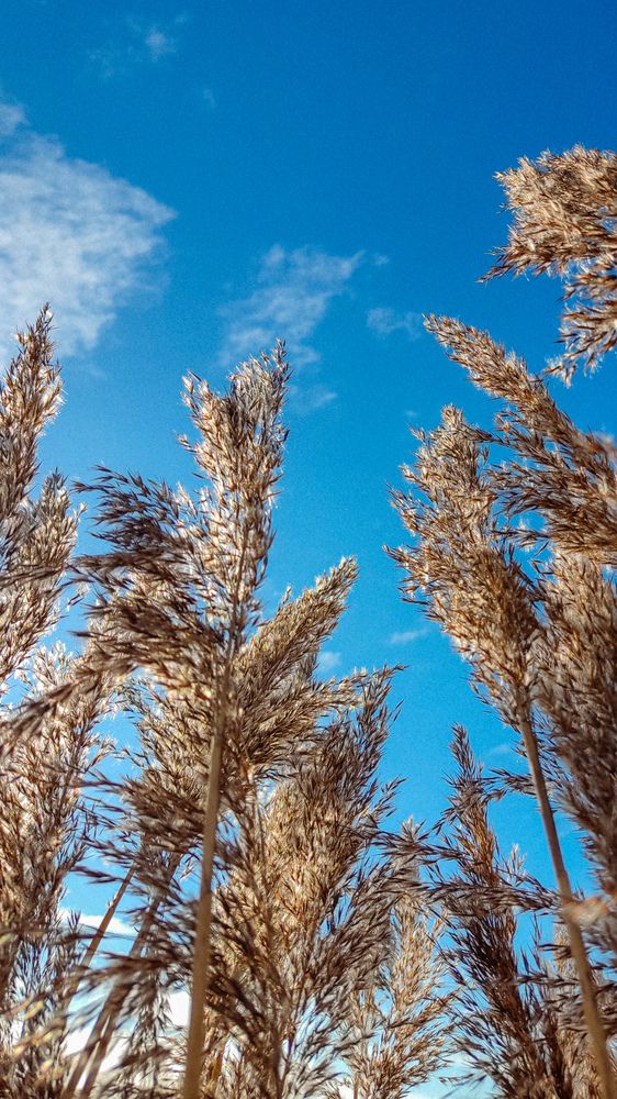 Photograph by Евгения Гродинская