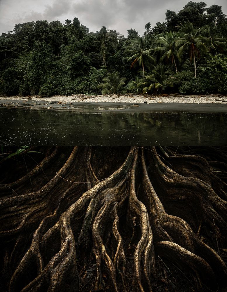 Фотография автора daniel mejia angel