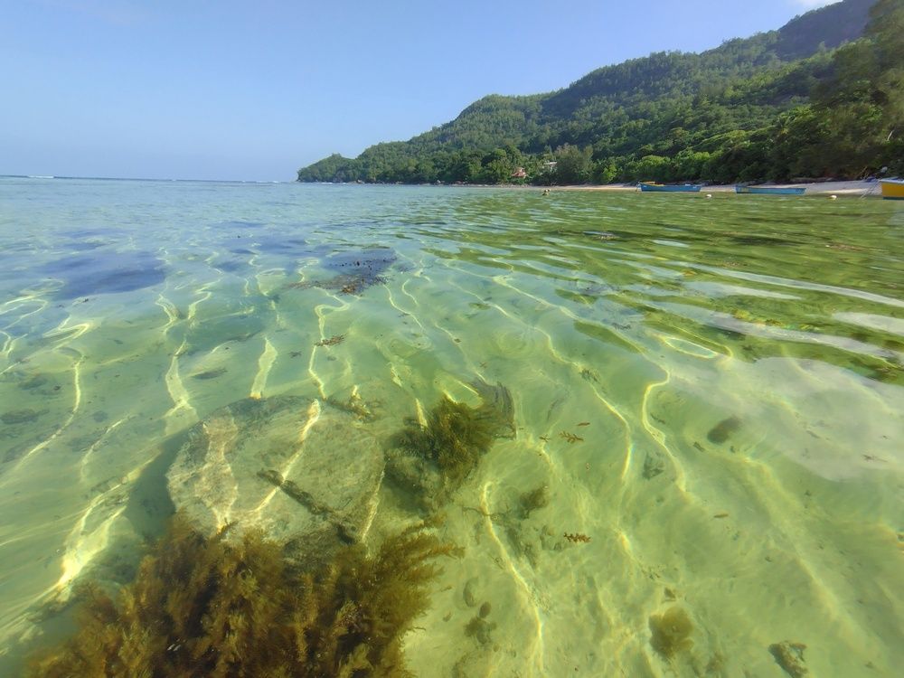 Photograph by Vasilii Martynov