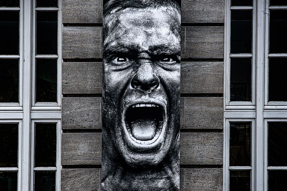 Фотография автора Ramin Barzegar