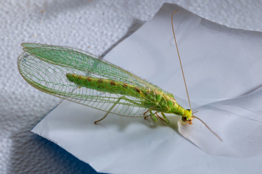 Photograph by Сергей Шестов