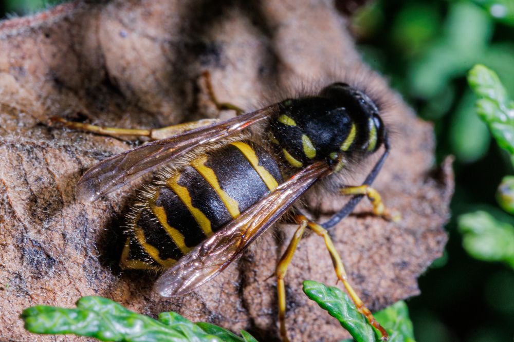 Photograph by Сергей Шестов