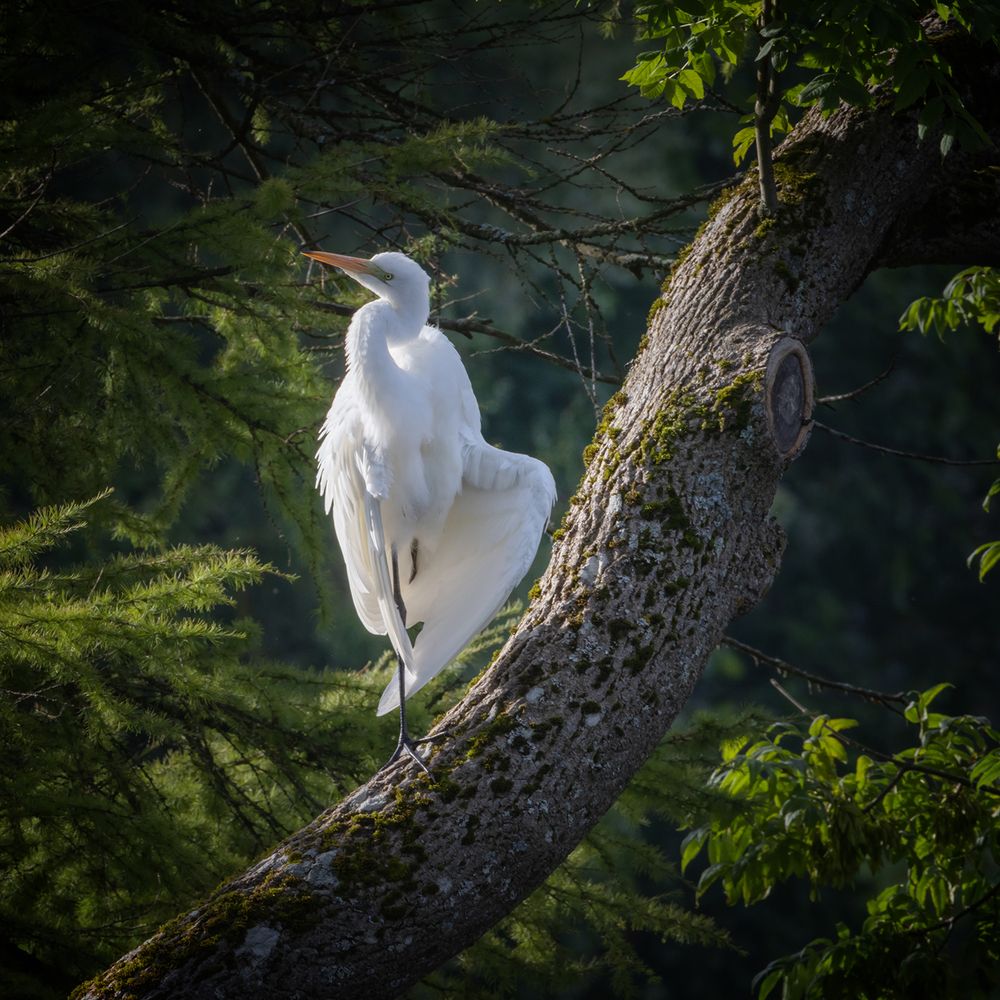 Photograph by Денис