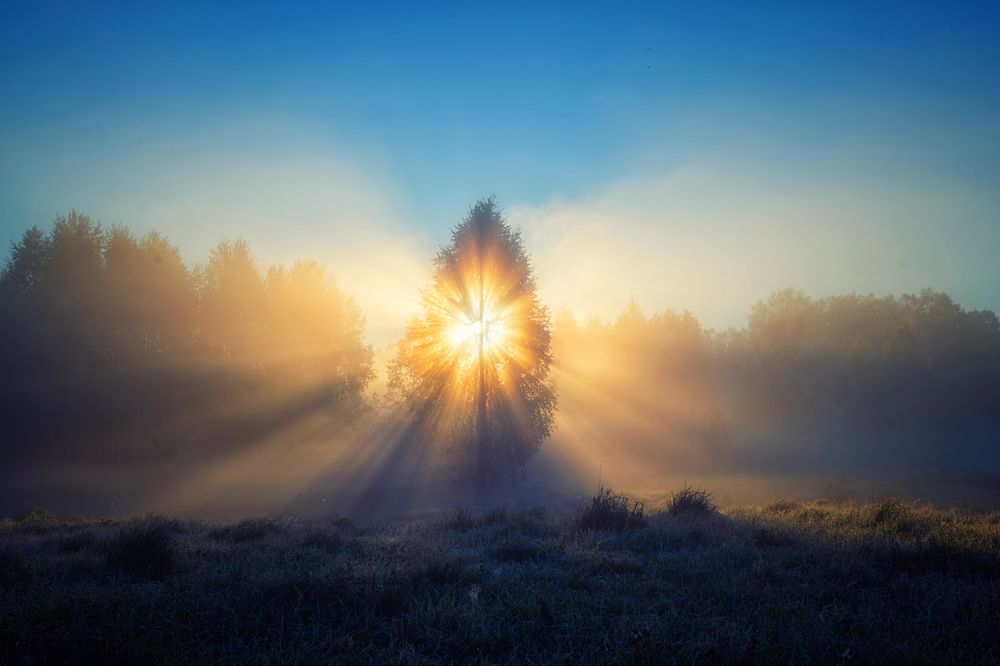 Photograph by Ян Кемпи