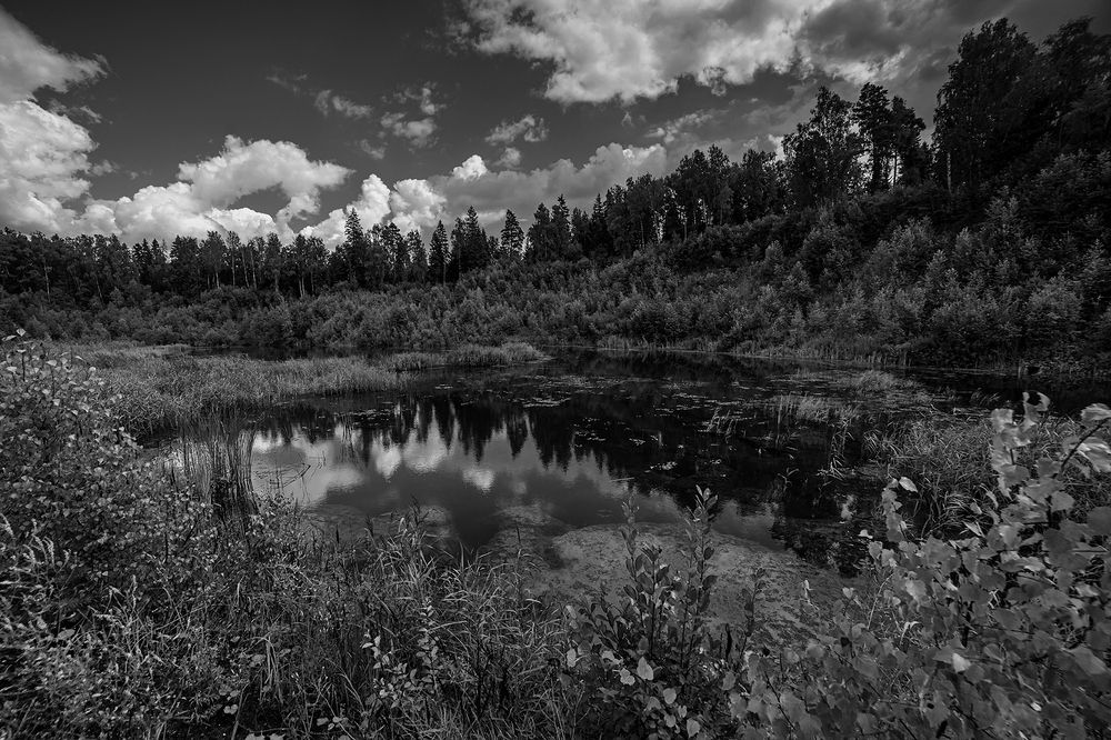 Photograph by Евгений Гонтов