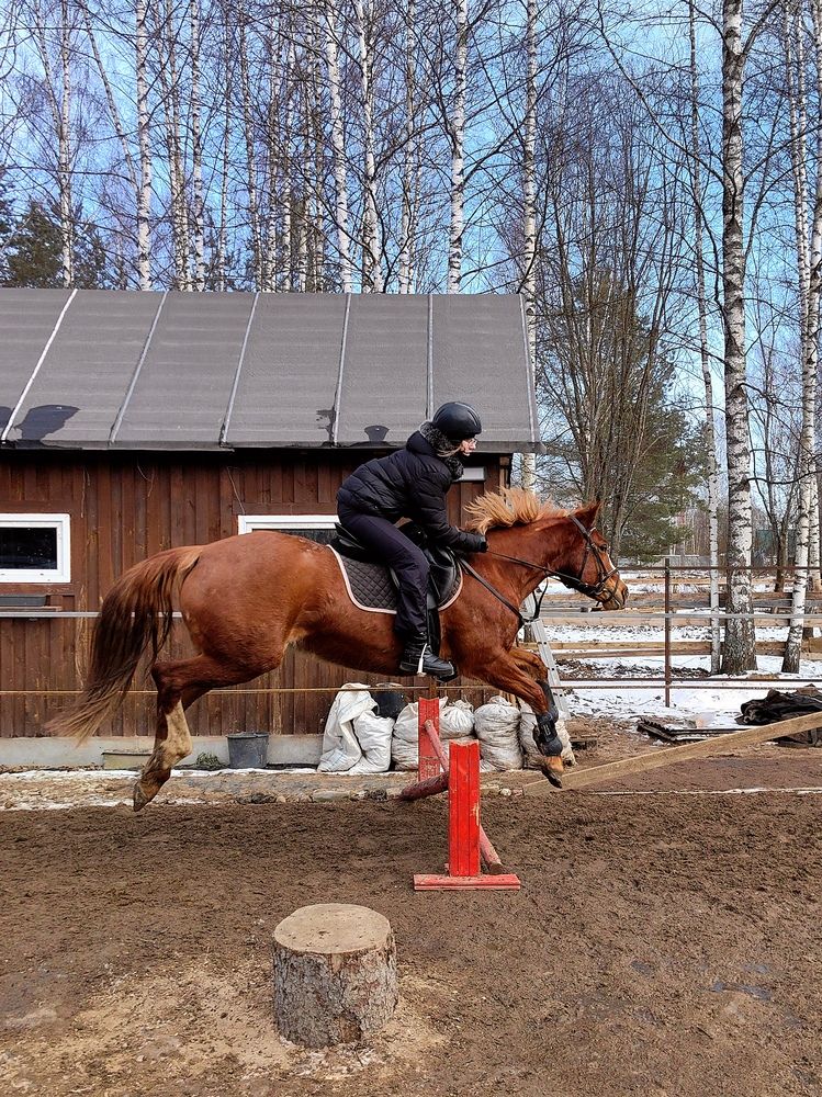 Photograph by Лолита Богачева