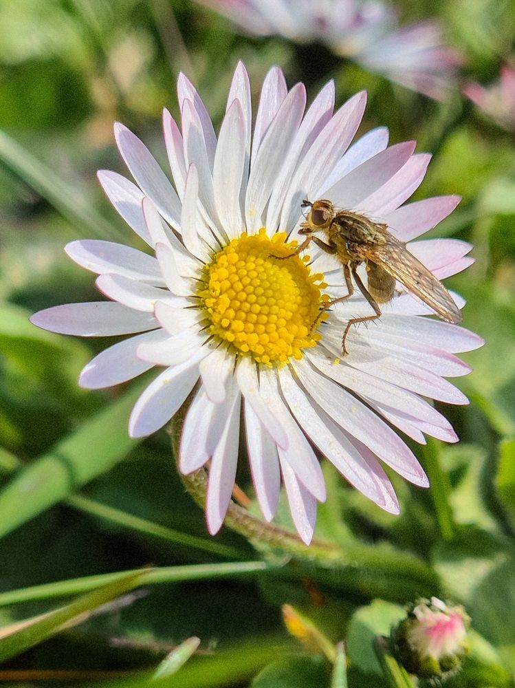 Photograph by Мария Коломиец