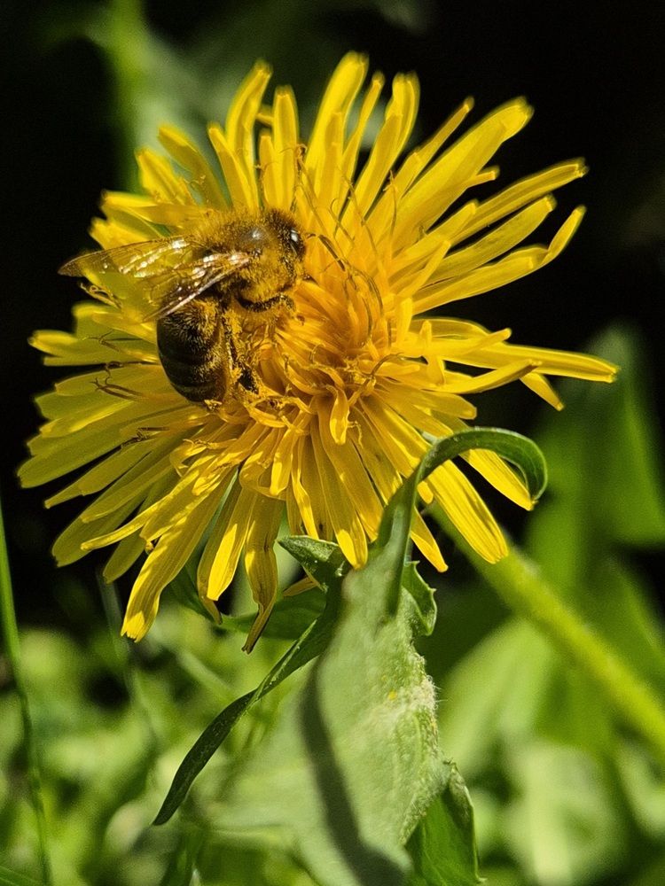 Photograph by Мария Коломиец