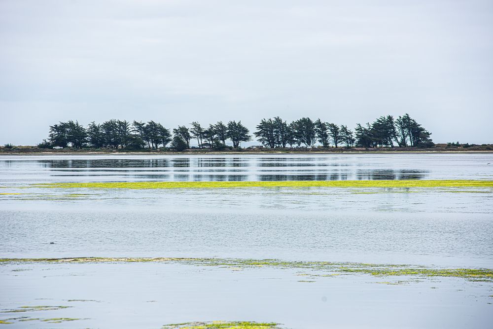 Фотография автора Ramin Barzegar