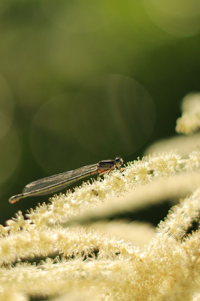 Photograph by Екатерина Мелихова