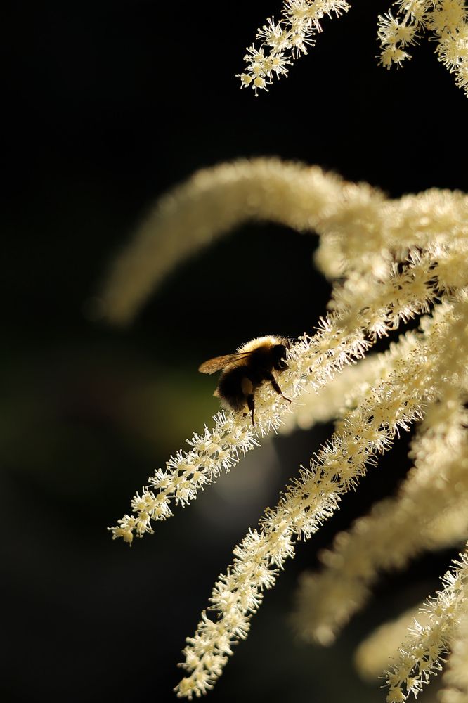 Photograph by Екатерина Мелихова