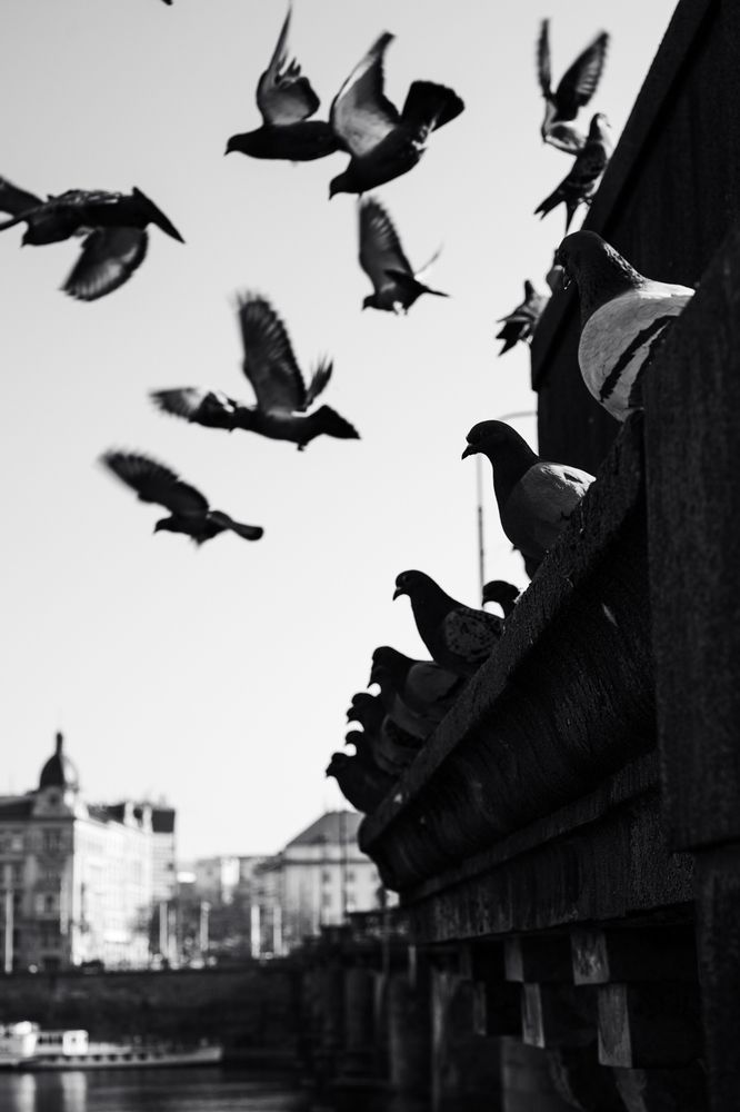 Photograph by Antonín Dudek