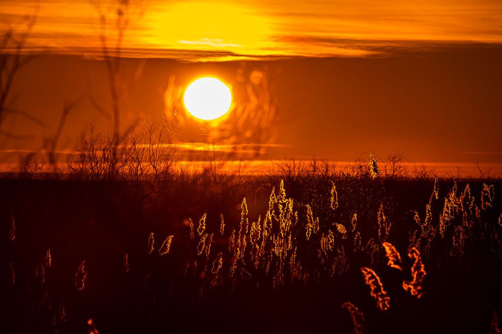 Photograph by алия евдокимова