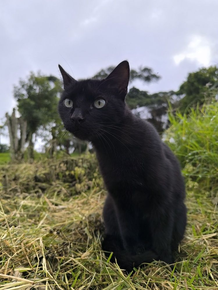 Photograph by OSCAR JAVIER CARDENAS