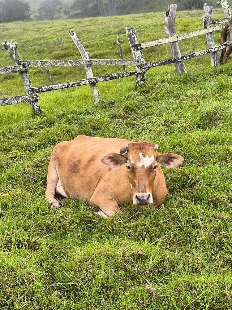 Photograph by OSCAR JAVIER CARDENAS