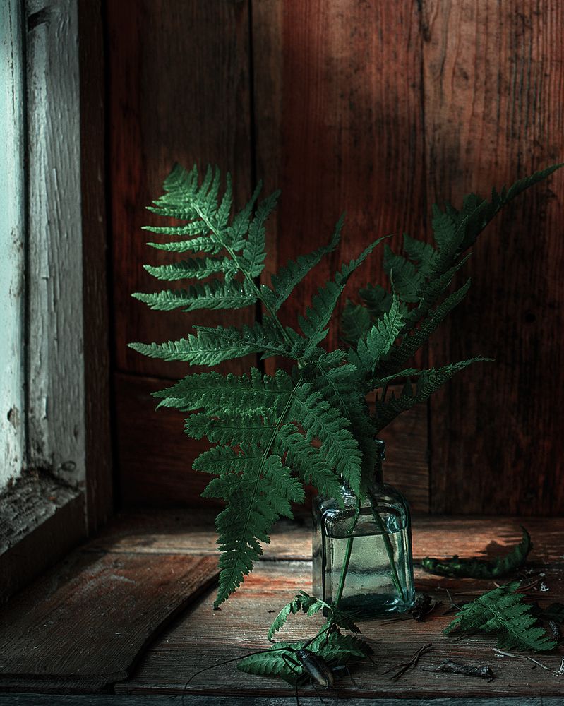 Фотография автора Viktoriya Shamanova