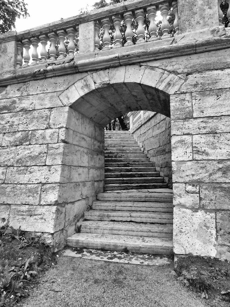 Photograph by Елена Гуляева