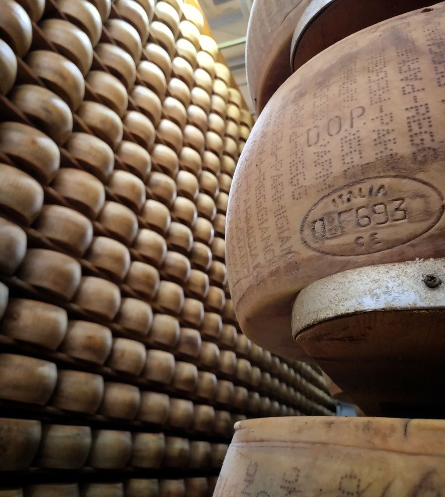 Parmiaggio un formaggio da mille forme