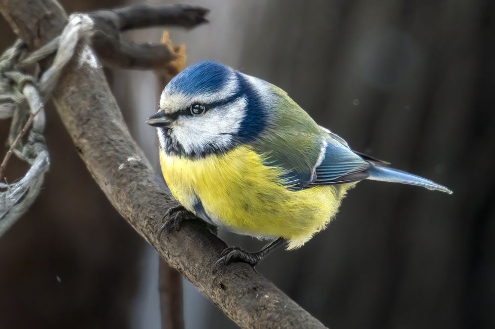 Photograph by Aleksandr Solovev