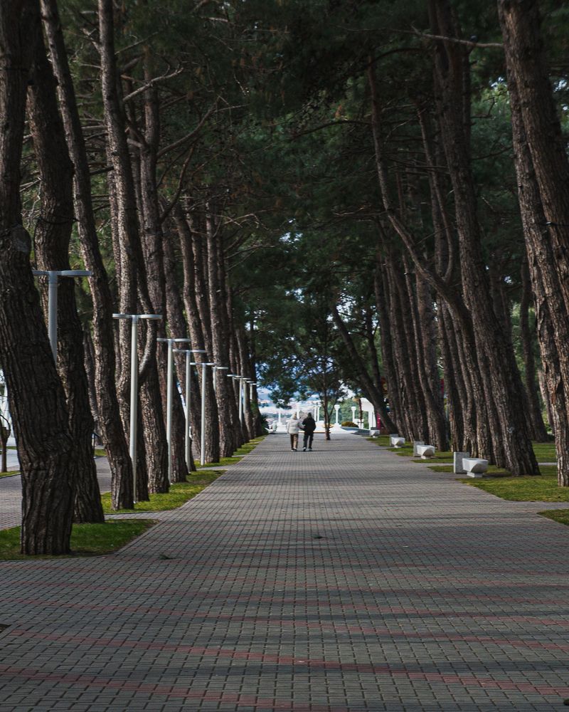 Photograph by никита шитиков