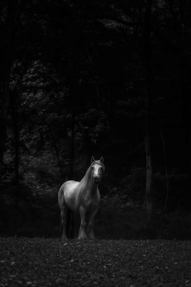 Фотография автора Genna Card