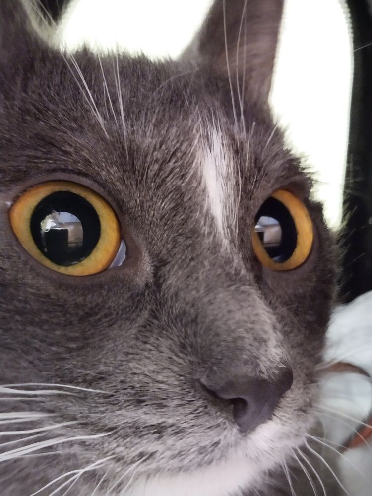 Photograph by Елена Халыева