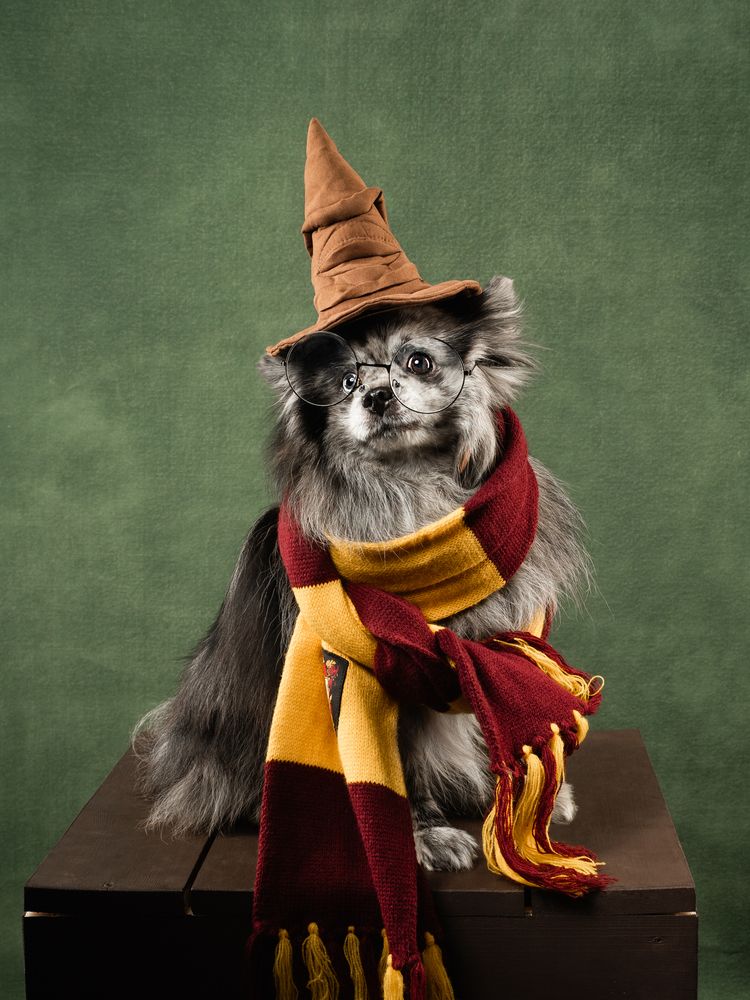 Photograph by Дарья Быстрицкая