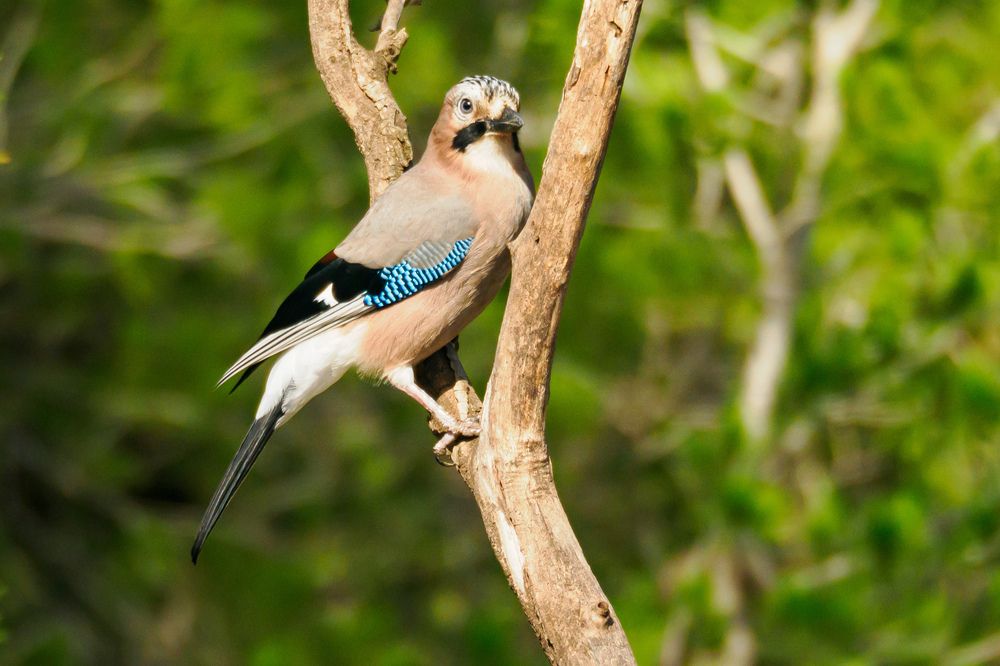 Фотография автора Herraiz Jorge