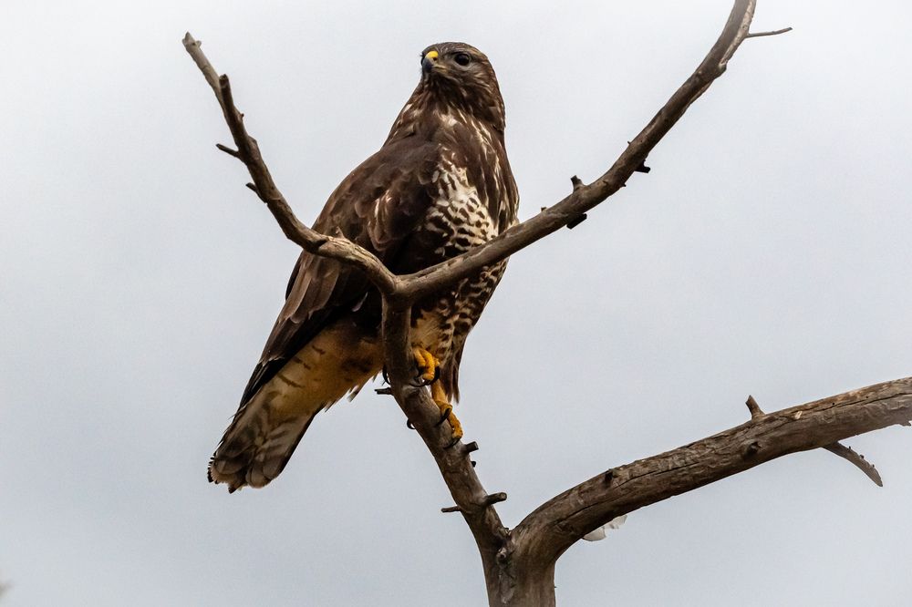 Фотография автора Herraiz Jorge