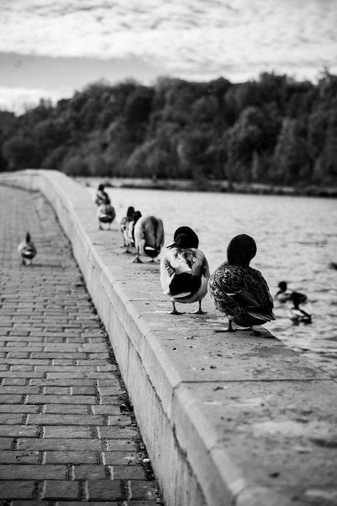 Photograph by Арина Сучкова