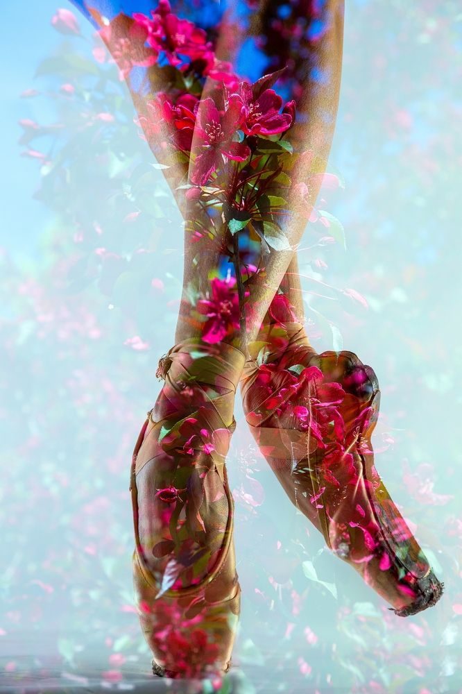 Photograph by Татьяна Салютова